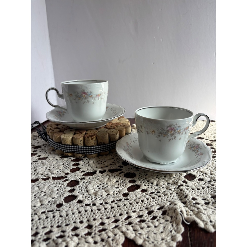 Johann Haviland Bavaria Blue Garland Teacup and Saucer Set Silver Trim Germany